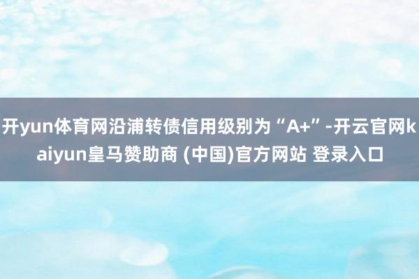 開yun體育網(wǎng)沿浦轉(zhuǎn)債信用級(jí)別為“A+”-開云官網(wǎng)kaiyun皇馬贊助商 (中國)官方網(wǎng)站 登錄入口