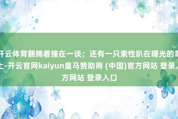 開(kāi)云體育翻騰著撞在一談；還有一只索性趴在曙光的草地上-開(kāi)云官網(wǎng)kaiyun皇馬贊助商 (中國(guó))官方網(wǎng)站 登錄入口